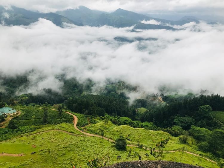 Things to do in Madulkelle, Srilanka - Full Guide